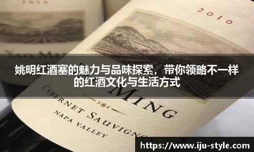 姚明红酒塞的魅力与品味探索，带你领略不一样的红酒文化与生活方式